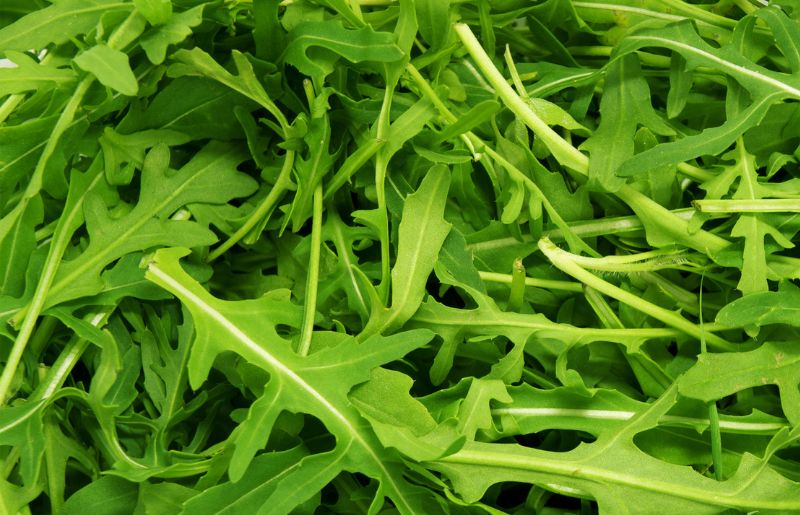 Arugula