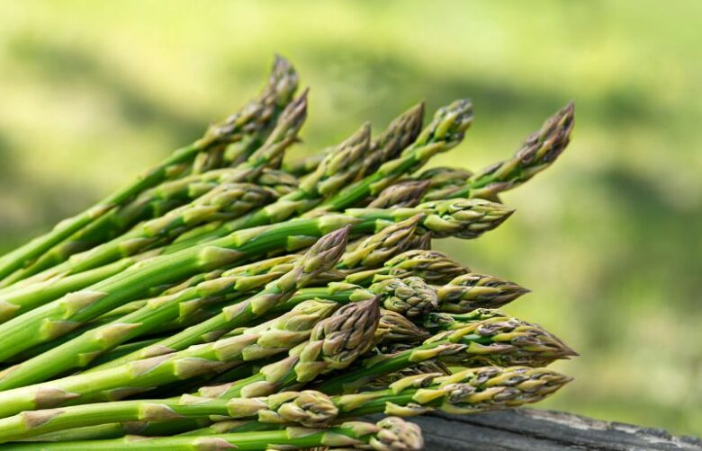 Which Plants Like Wood Ashes?