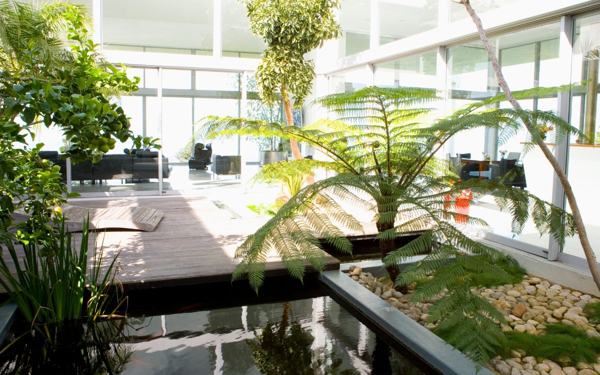 Best Plants Fir An Atrium