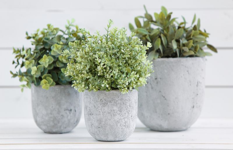 Concrete Pots