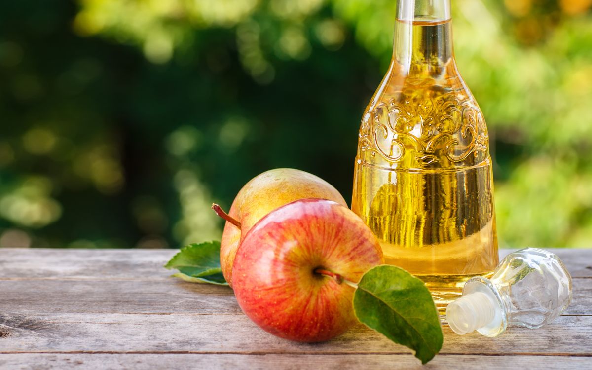 Why You Should Use Apple Cider Vinegar on Plants?