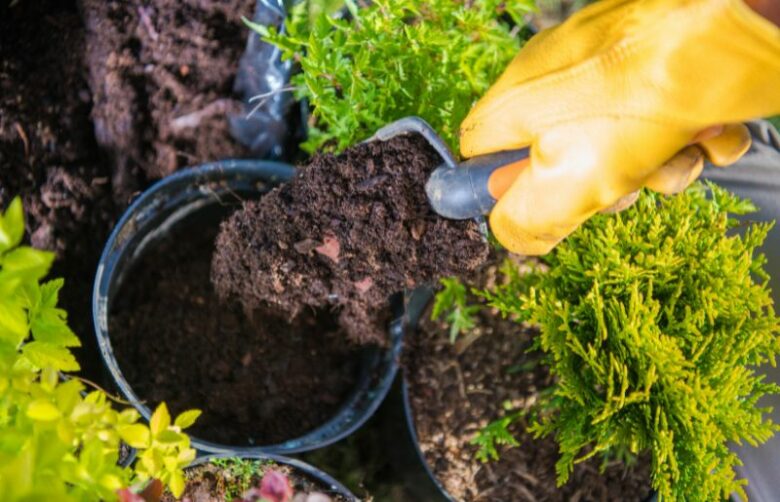 Guide to Stop Plant Pots From Blowing Over in Wind (2nd is EASY)