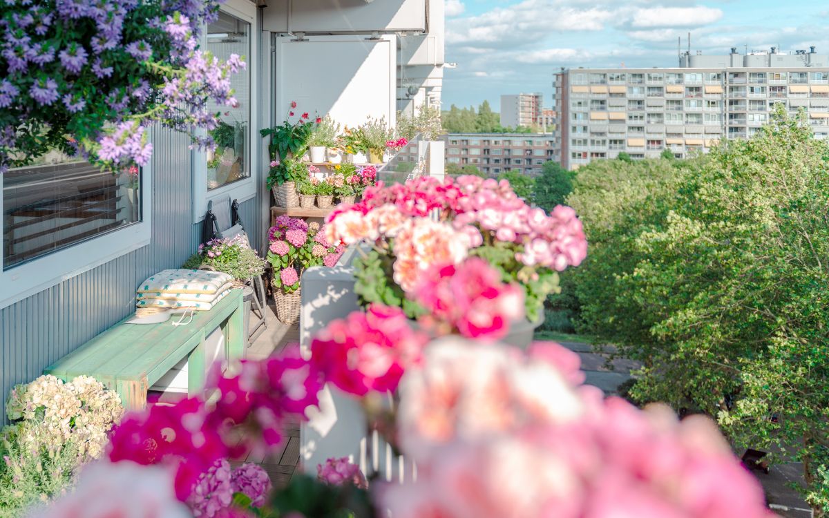 plants for windy balconies